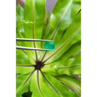 6.88 Ct. Cabochon Emerald from Pakistan Life Style
