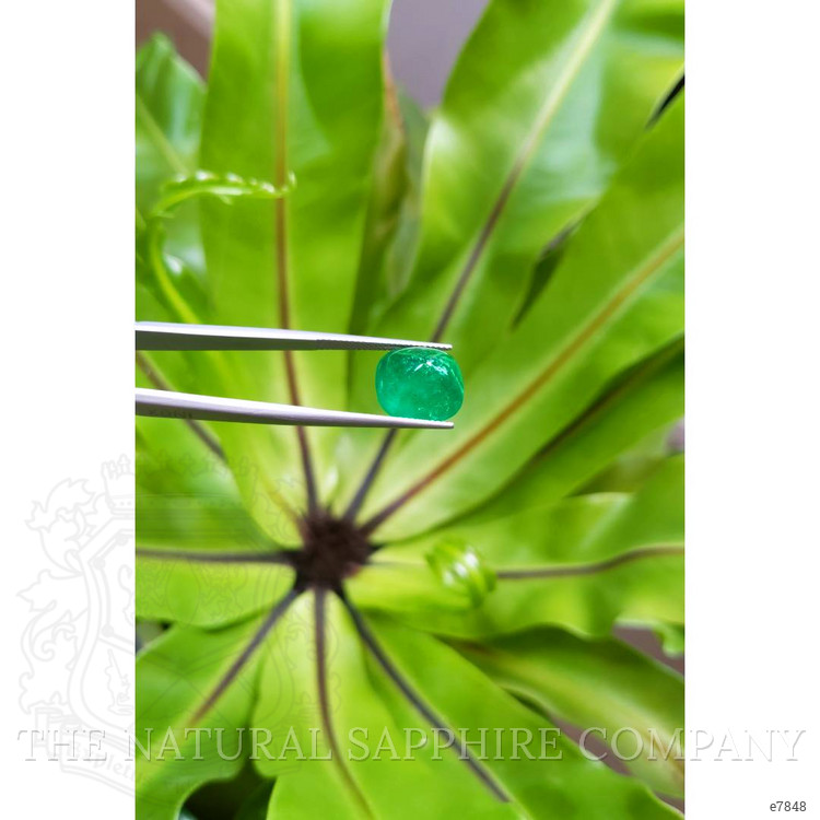 6.88 Ct. Cabochon Emerald from Pakistan
