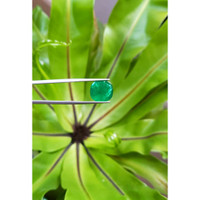 6.88 Ct. Cabochon Emerald from Pakistan Life Style