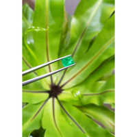 3.33 Ct. Cabochon Emerald from Pakistan Life Style