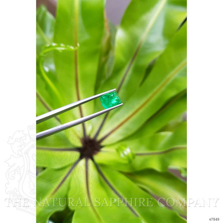 3.33 Ct. Cabochon Emerald from Pakistan