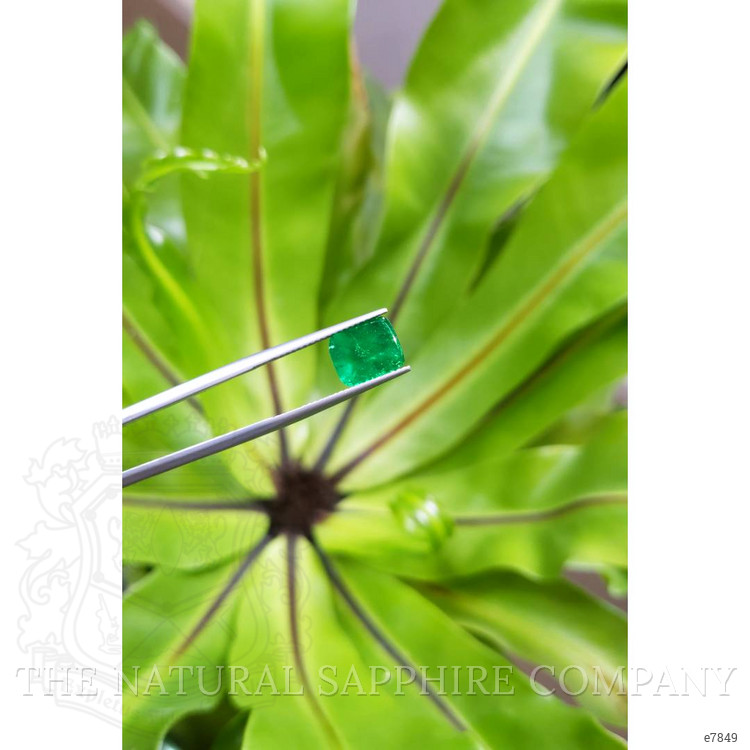 3.33 Ct. Cabochon Emerald from Pakistan