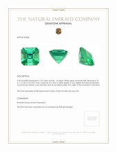 1.03 Ct. Emerald from Colombia Appraisal