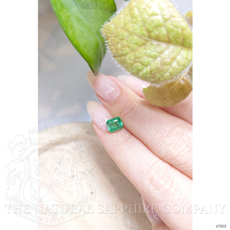 1.56 Ct. Emerald from Zambia