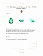 0.94 Ct. Emerald from Zambia Appraisal