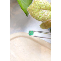 1.59 Ct. Emerald from Zambia Life Style