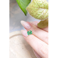 1.59 Ct. Emerald from Zambia Life Style