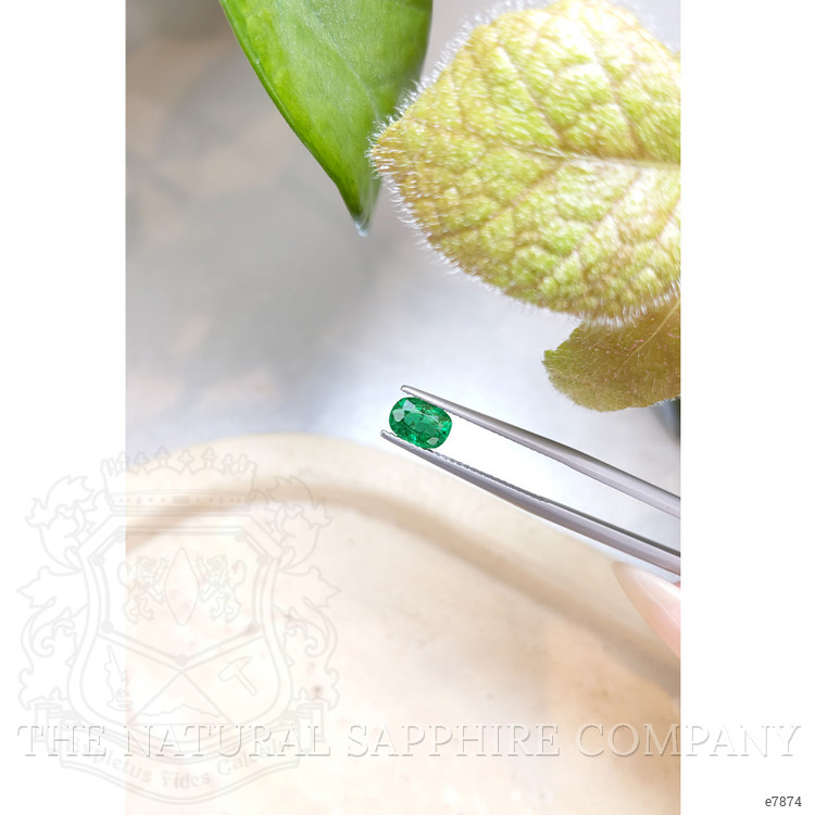 0.83 Ct. Emerald from Zambia