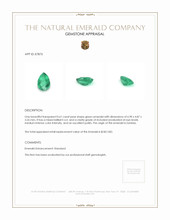 0.61 Ct. Emerald from Zambia Appraisal