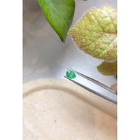 0.61 Ct. Emerald from Zambia Life Style