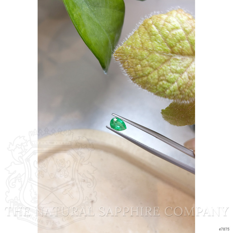 0.61 Ct. Emerald from Zambia