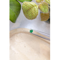 0.40 Ct. Emerald from Zambia Life Style