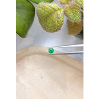 0.41 Ct. Emerald from Zambia Life Style