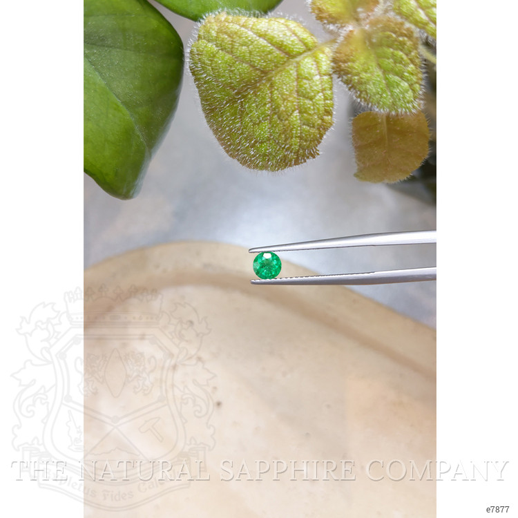 0.41 Ct. Emerald from Zambia