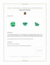0.44 Ct. Emerald from Zambia Appraisal