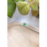 0.44 Ct. Emerald from Zambia Life Style