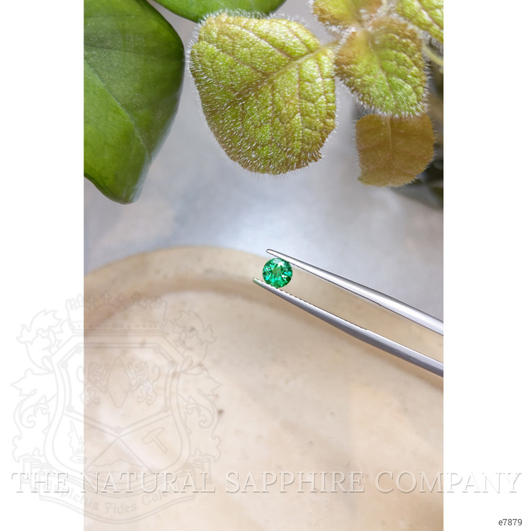 0.44 Ct. Emerald from Zambia