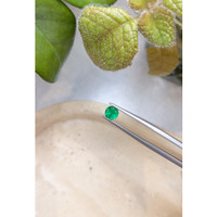 0.60 Ct. Emerald from Zambia Life Style