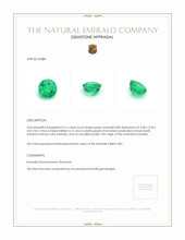 0.61 Ct. Emerald from Zambia Appraisal