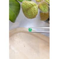 0.61 Ct. Emerald from Zambia Life Style