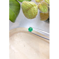 1.10 Ct. Emerald from Zambia Life Style