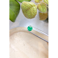 1.89 Ct. Emerald from Zambia Life Style