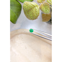 0.37 Ct. Emerald from Zambia Life Style