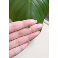 0.60 Ct. Emerald from Zambia Life Style