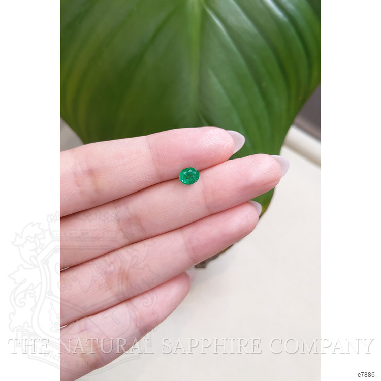 0.60 Ct. Emerald from Zambia