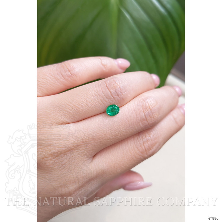 0.60 Ct. Emerald from Zambia