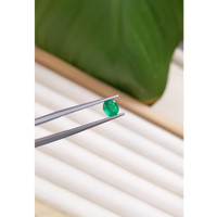 0.60 Ct. Emerald from Zambia Life Style