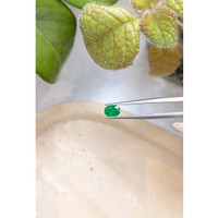 0.60 Ct. Emerald from Zambia Life Style