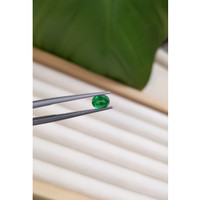 0.61 Ct. Emerald from Zambia Life Style