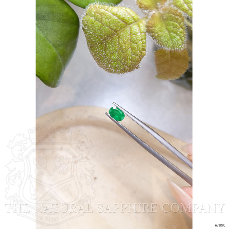 0.62 Ct. Emerald from Zambia