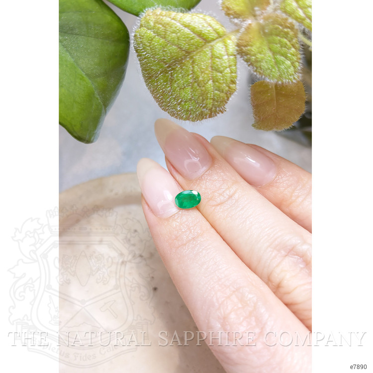 0.62 Ct. Emerald from Zambia