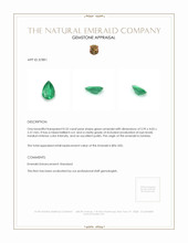 0.32 Ct. Emerald from Zambia Appraisal