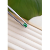 0.34 Ct. Emerald from Zambia Life Style