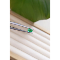 0.43 Ct. Emerald from Zambia Life Style