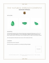 0.40 Ct. Emerald from Zambia Appraisal