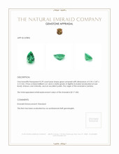 0.39 Ct. Emerald from Zambia Appraisal