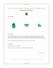 0.39 Ct. Emerald from Zambia Appraisal