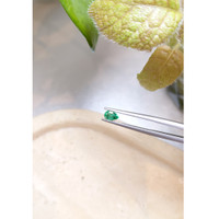 0.39 Ct. Emerald from Zambia Life Style