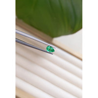 0.38 Ct. Emerald from Zambia Life Style