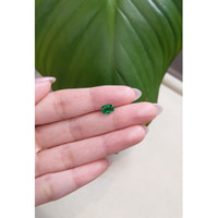 0.85 Ct. Emerald from Zambia Life Style