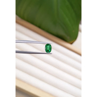 0.85 Ct. Emerald from Zambia Life Style