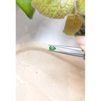 0.34 Ct. Emerald from Zambia Life Style