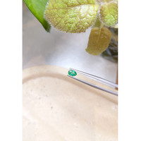 0.38 Ct. Emerald from Zambia Life Style