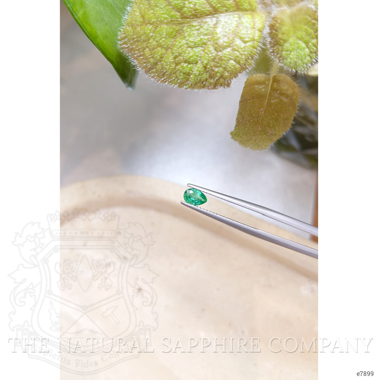 0.38 Ct. Emerald from Zambia