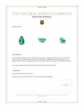 0.42 Ct. Emerald from Zambia Appraisal