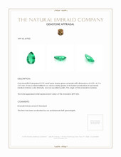 0.33 Ct. Emerald from Zambia Appraisal